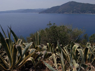  Plongée en Ligurie 